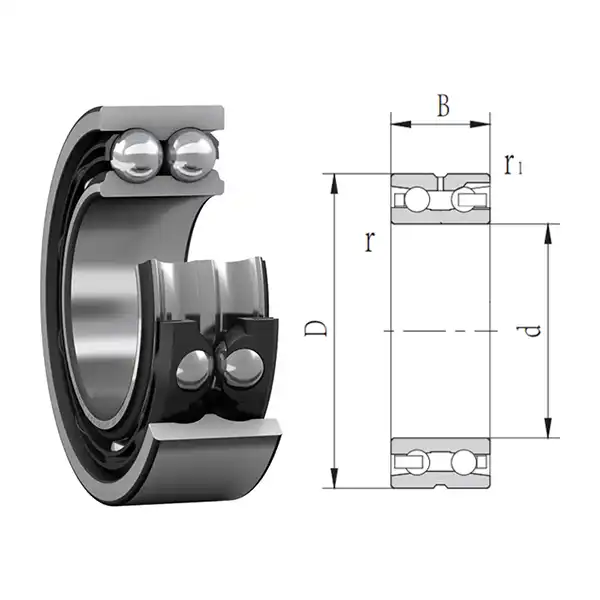 Double Row Angular Contact Ball Bearing