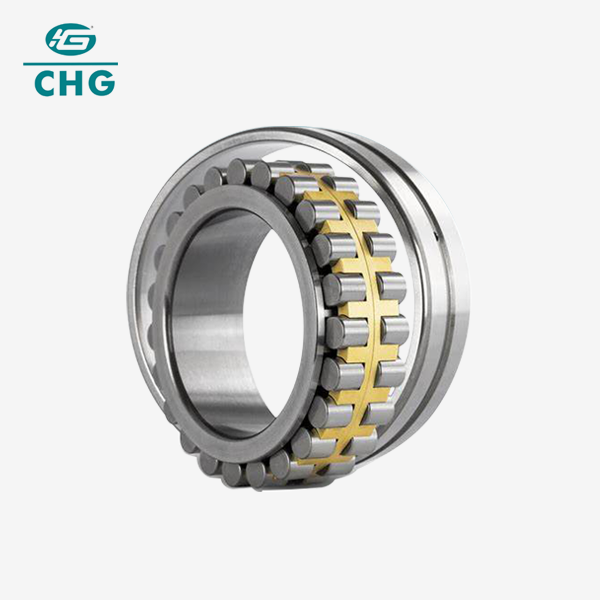 Double Row Cylindrical Roller Bearing